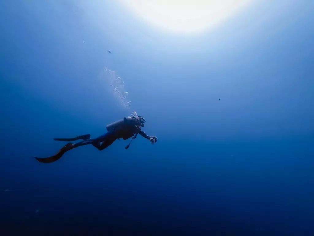 Дайвинг-клуб «IntroDive» в Крыму