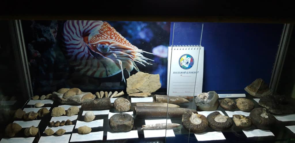 Палеонтологический музей в Ливадии, Ялта, Крым