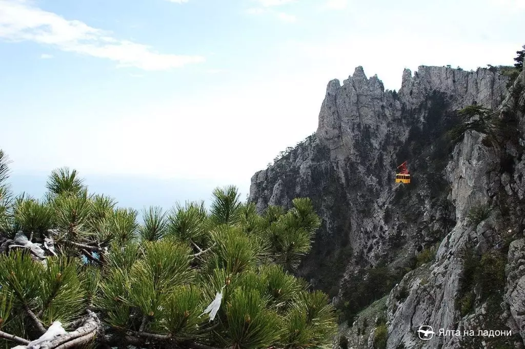 Канатная дорога Сосновый бор Айпетри в Крыму