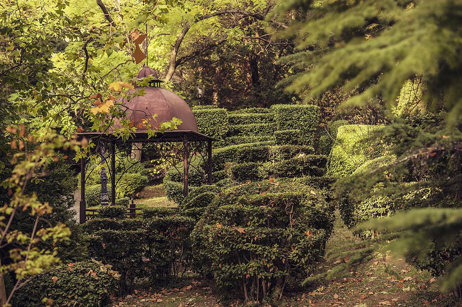 Парк санатория Пушкино