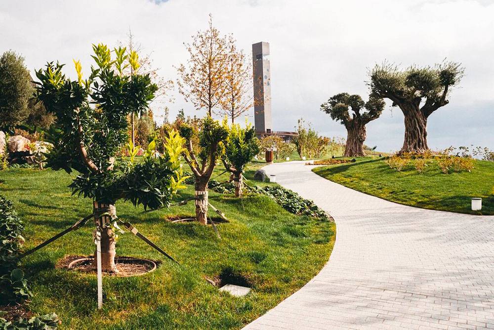 Винный парк «Winepark» в Крыму